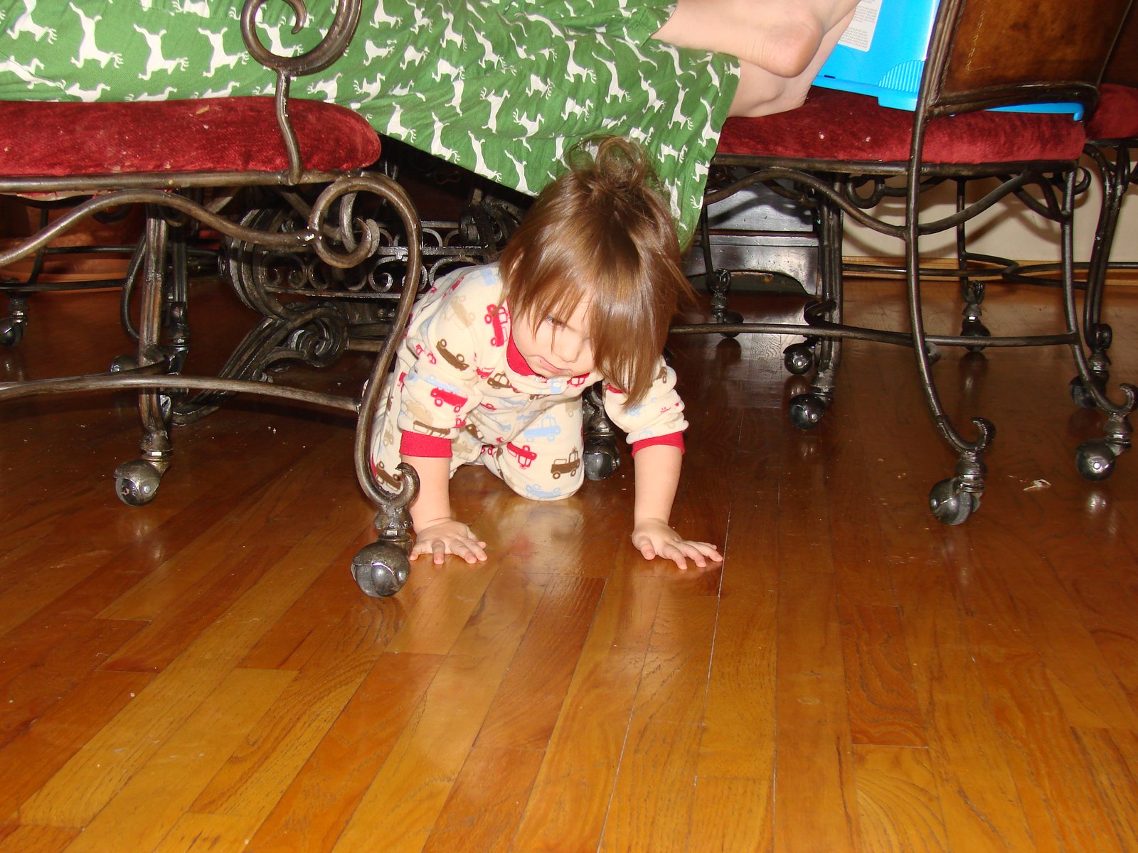 [DSC05688.JPG]
