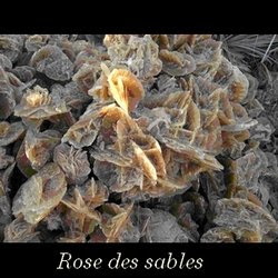 Rose des sables