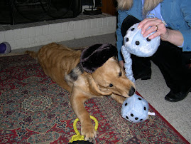 Wyatt Playing With His Toys