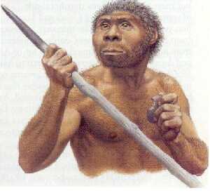 [Homo_Erectus.jpg]