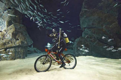 Deepest-cycling-underwater-600x398.jpg