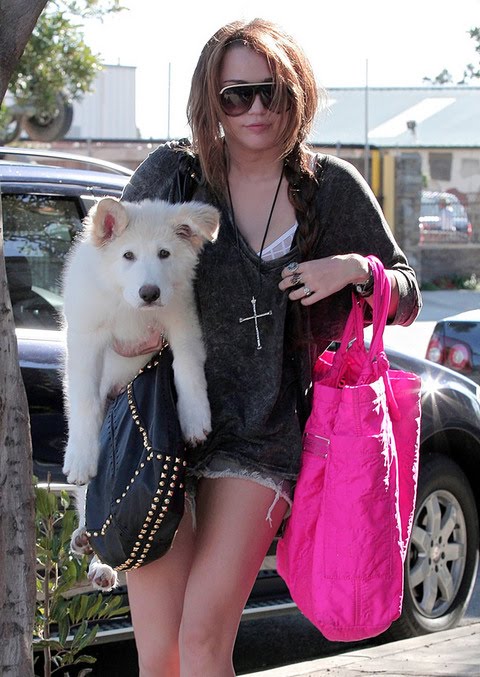 [gallery_main-miley-cyrus-hooker-clothes-09.jpg]