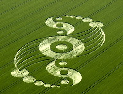 Кто рисует круги на полях?