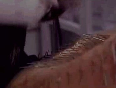 [Piercing.jpg]