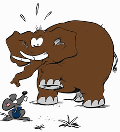 elefante-miedo-ratones1.jpg
