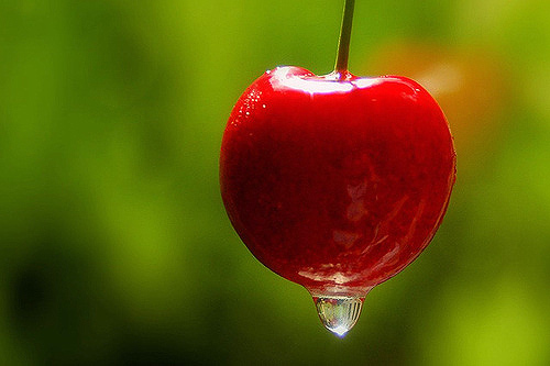 [picnik-cherry.jpg]