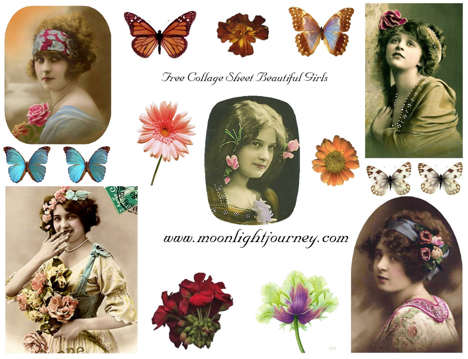 It's just a photo of Zany Digital Collage Sheets This is a photo of Zany Digital Collage Sheets