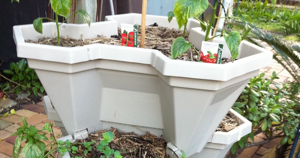 thelauragirl's garden Raised beds ready to go