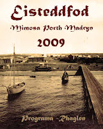 TAPA DEL PROGRAMA EDICIÓN 2009