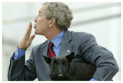 bush kissing