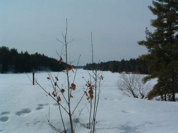 LOST CHANNEL LOOKOUT IN THE WINTER