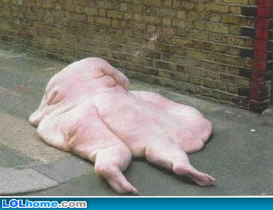 funny fat people pics. really funny fat people pics. Really funny pictures of