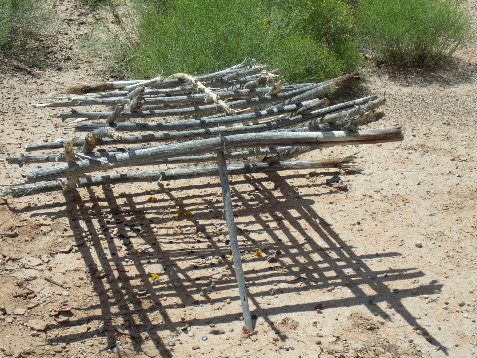 Sword Of Survival The Box Trap