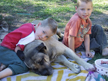 Our old dog Beau  with the boys..a gentle giant!