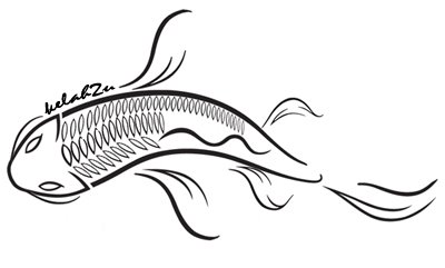 KELAH2U - Ikan Kelah / Mahseer Fish