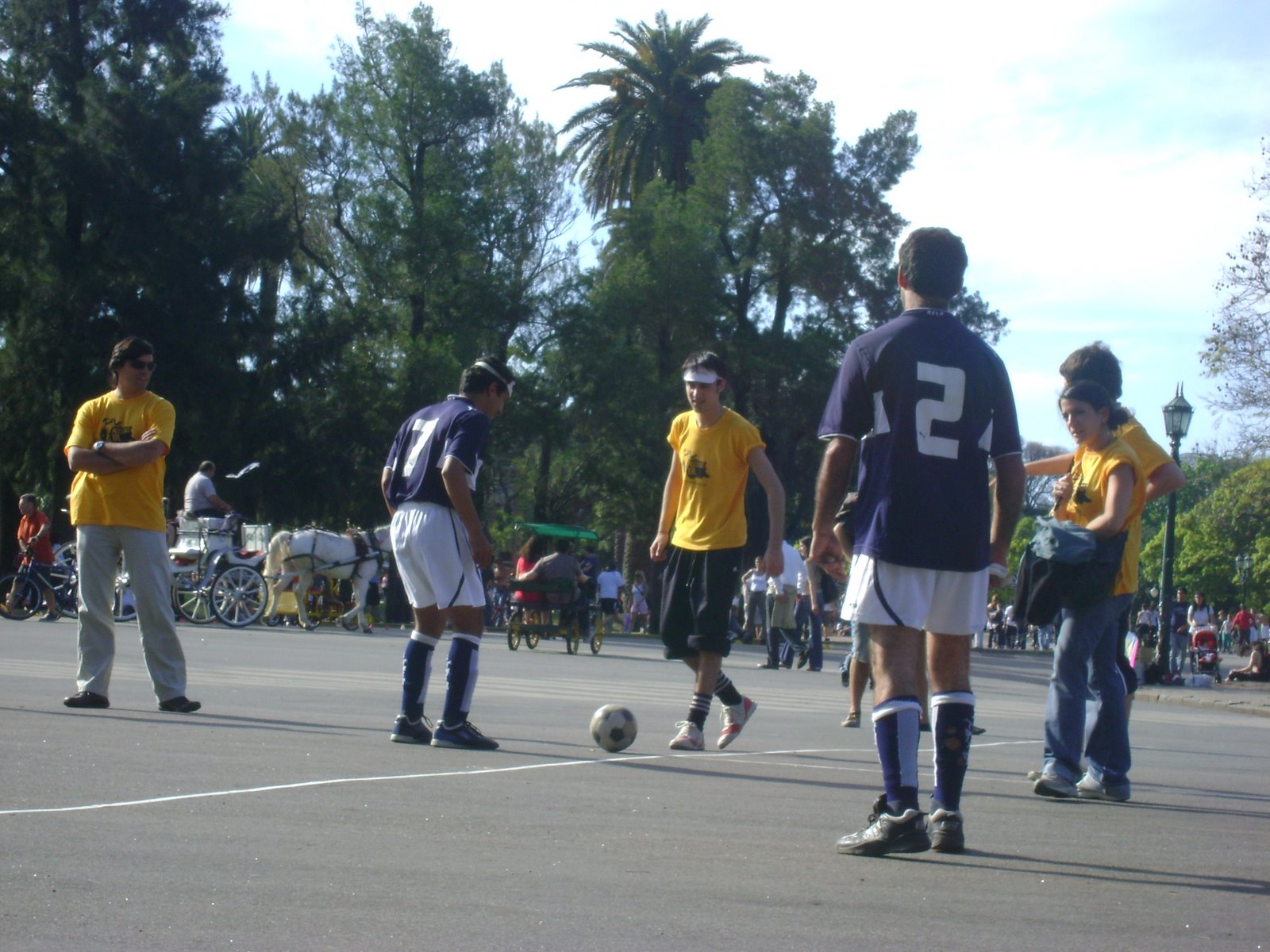 [DSC00824.JPG]