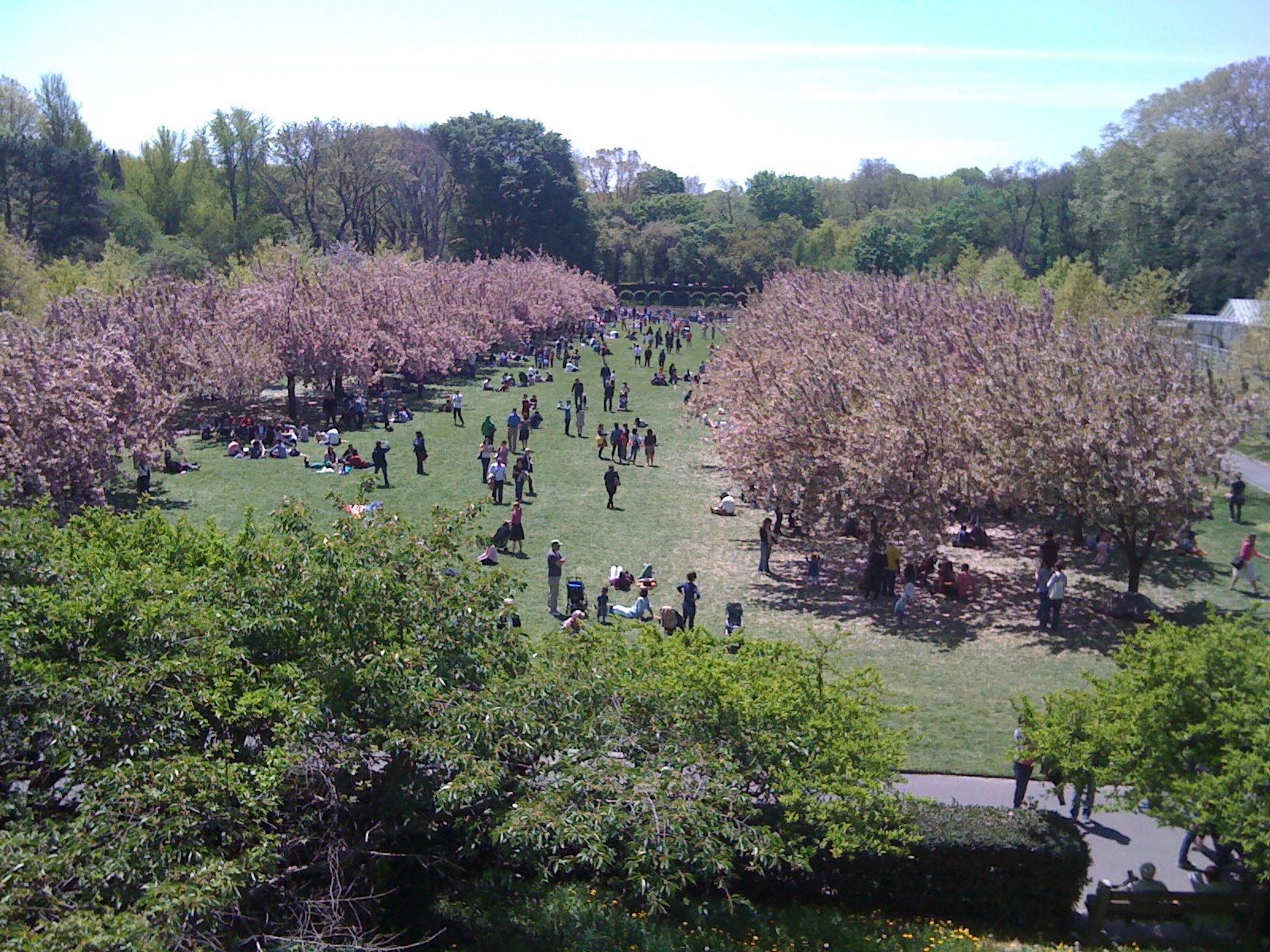 Pay a Visit Brooklyn Botanic Garden in the Spring
