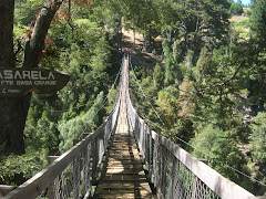 Pasarela de Curarrehue