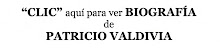 CLIC BIO PATO VALDIVIA