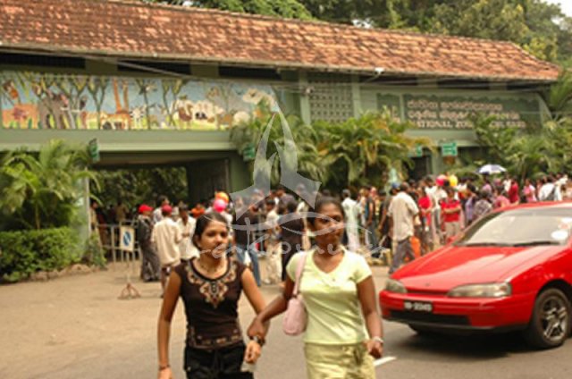 Sri Lankan Zoo