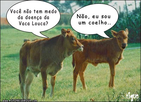 Imagem do dia - Página 17 Vacas+c%C3%B3pia_thumb%5B13%5D