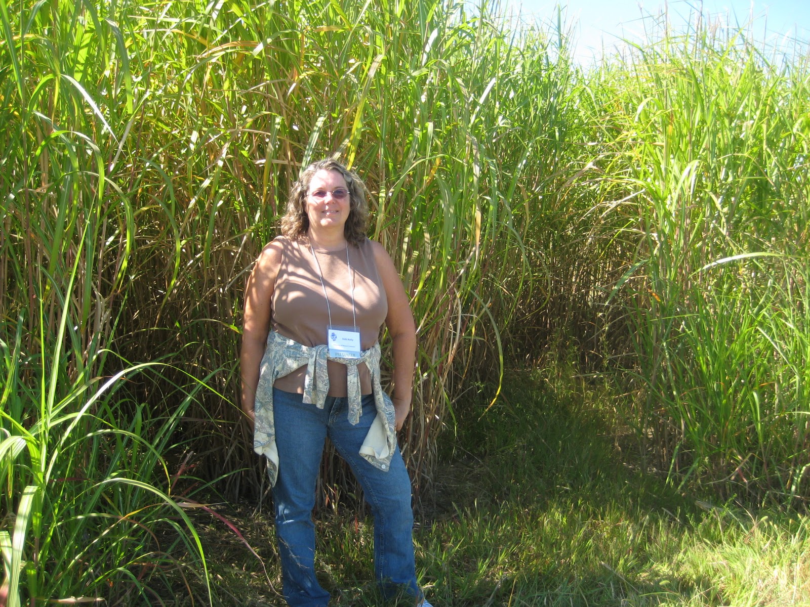 Missouri Beginning Farming Planting and Growing Giant Miscanthus as a