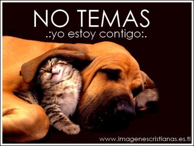 [No+temas+yo+estoy+contigo.jpg]