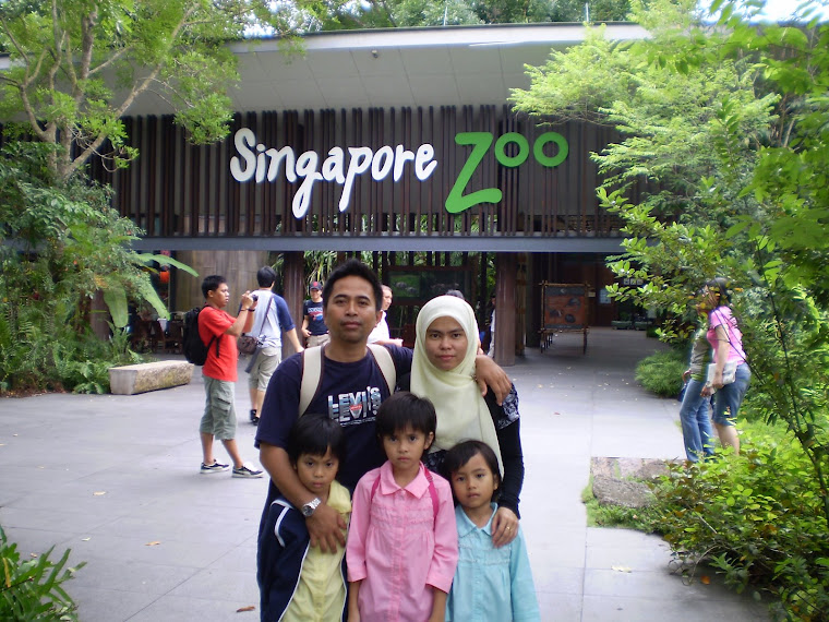 d singapore