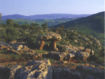 dolmens-de-roknia-guelma