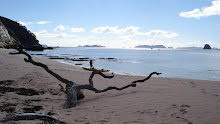 Beautiful Coromandel