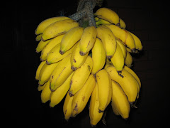 Guest can pick fruits