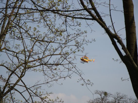 [DSC00607.JPG]