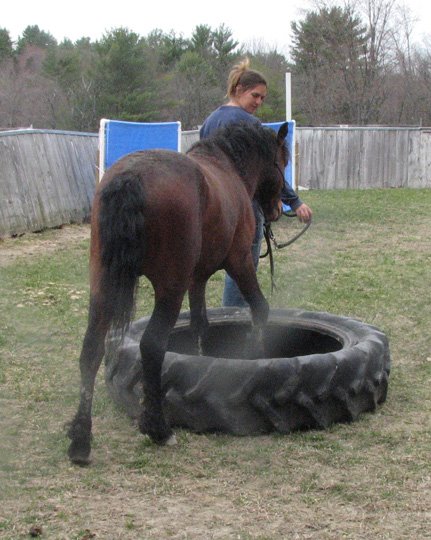 [tire.jpg]