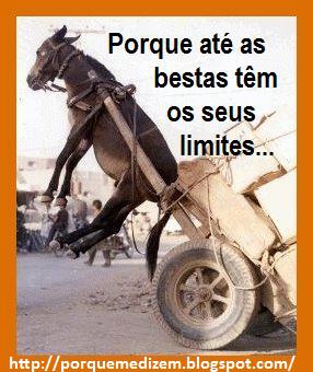 [at%C3%A9+as+bestas+tem+limites.jpg]