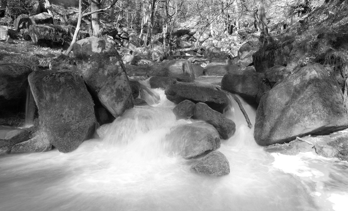 [WaterMove1_BWsmall_Bell.jpg]