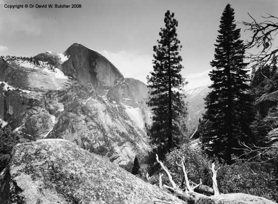 [halfdometreesnowcreektrail3_359604.jpg]