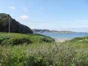 Ja vi elsker Finnmark...