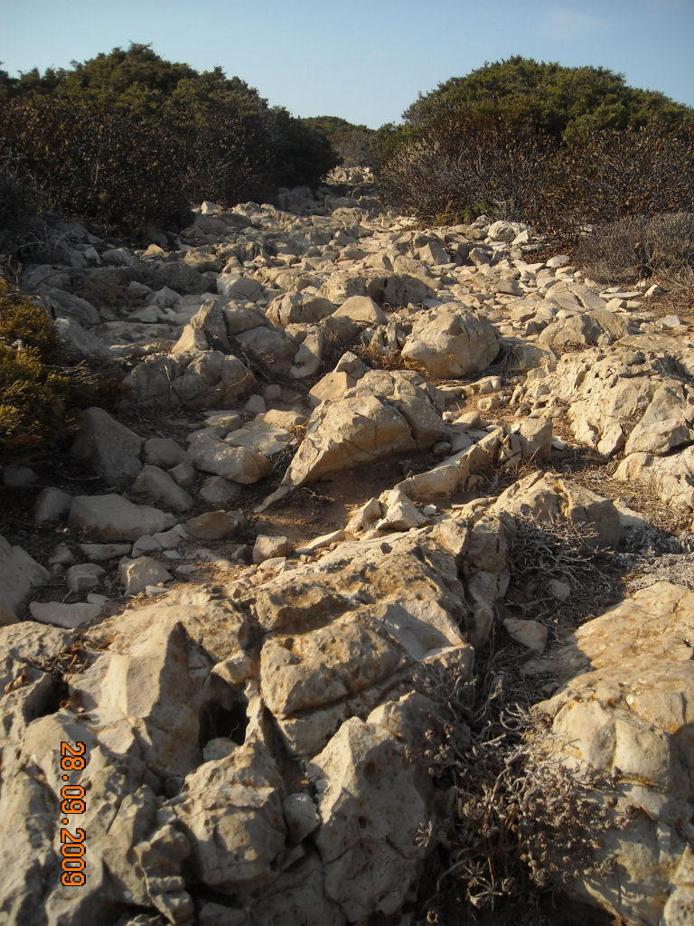 [DSCN3170.jpg]