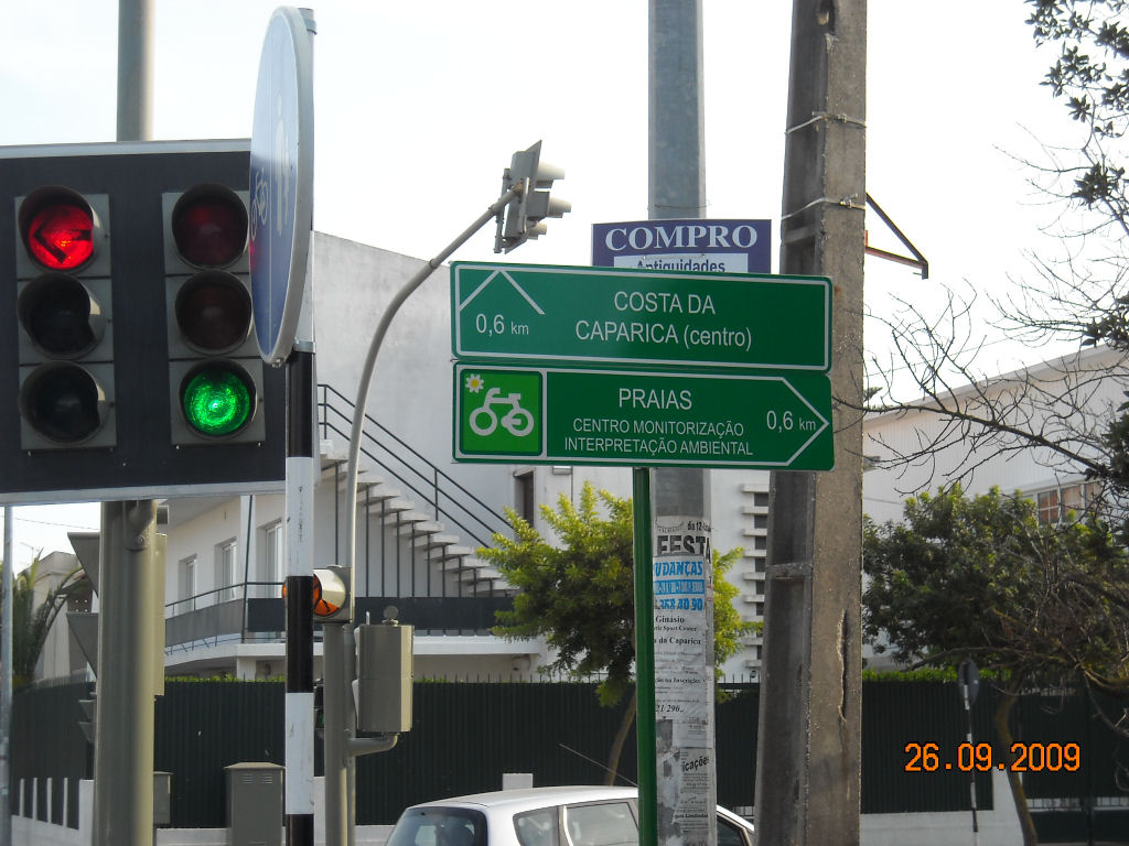 [DSCN3020.jpg]
