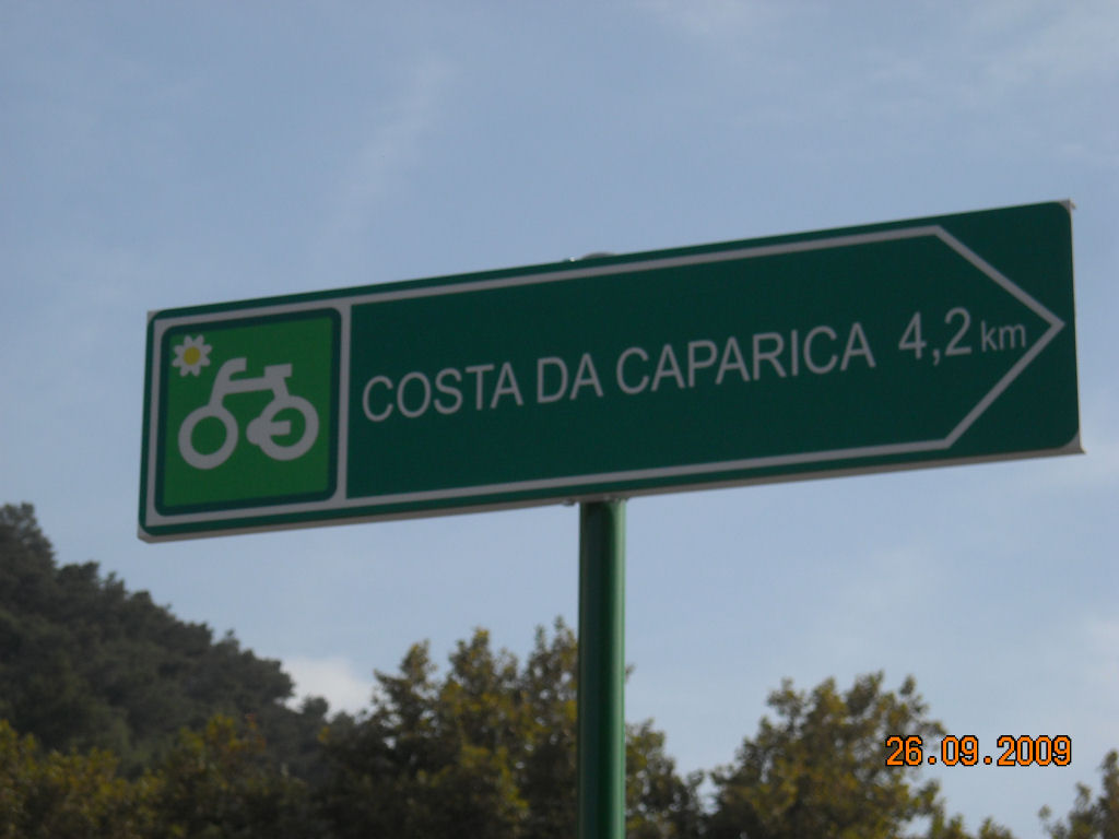 [DSCN3004.jpg]