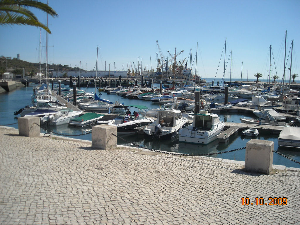 [DSCN3268.jpg]