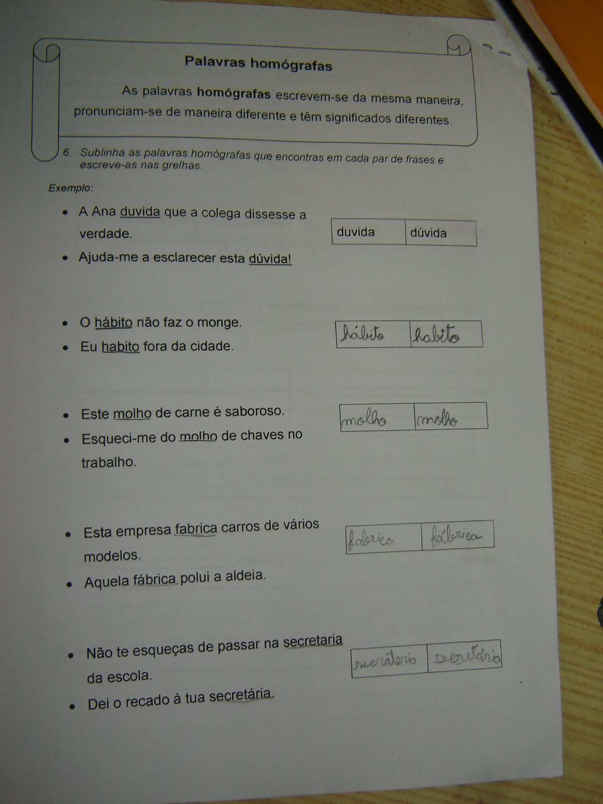 [DSC03631.JPG]