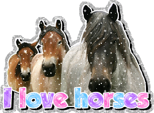 i-love-horses.gif