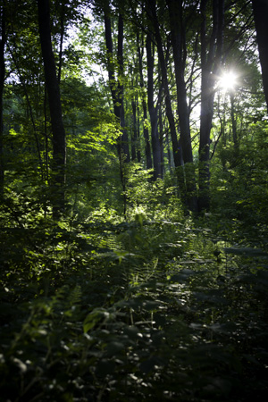 [20070611_Loleta+PA_006.jpg]