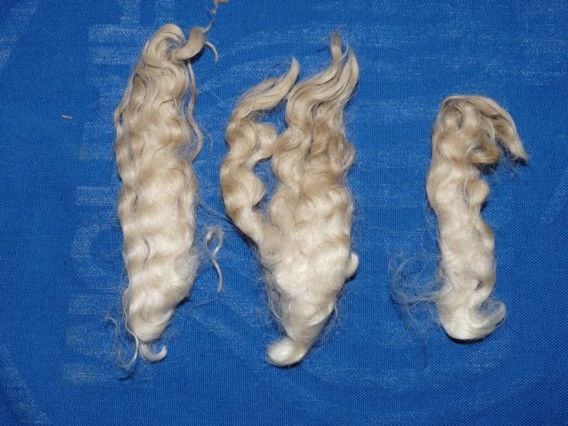 Woolshed 1 Angora (Mohair) Goat Basics Goat fibre