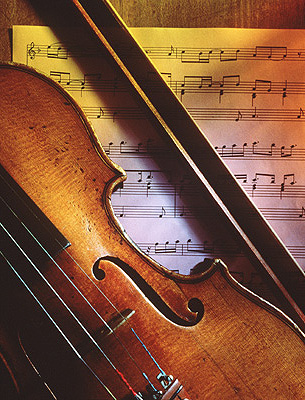 [violin.jpg]