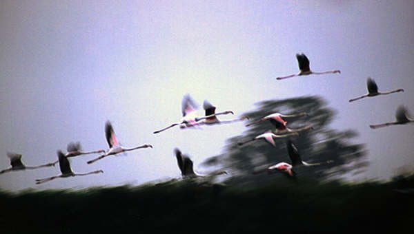 [untitled.bmp]