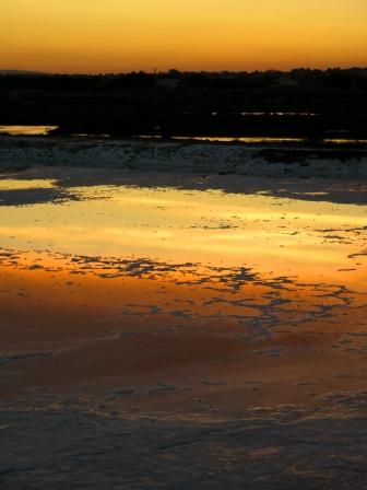 [Salinas.(doc.1).jpg]