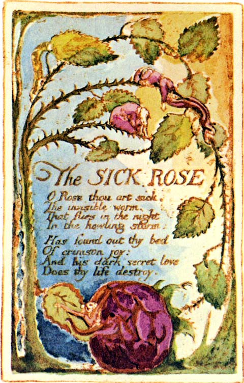 [the.sick.rose.(doc.1).jpg]