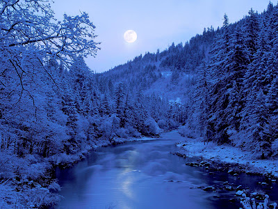 Fagyott erdő Frozen+forest+moonlight